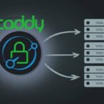 Configure Caddy Howsnip