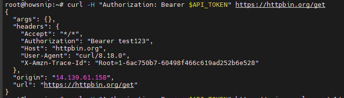Curl Command Howsnip