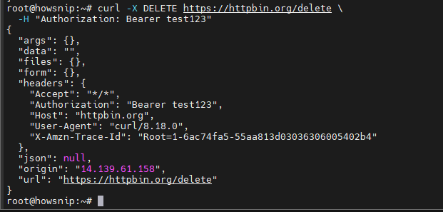 Curl Command Howsnip
