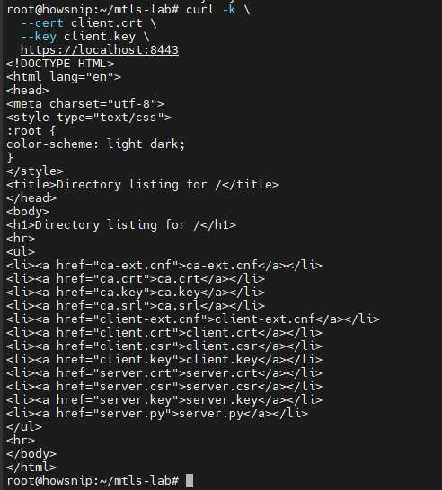 Curl Command Howsnip