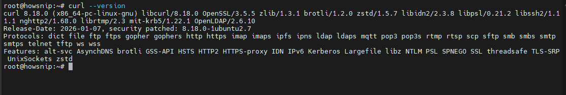 Curl Command Howsnip