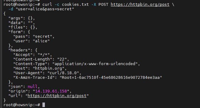 Curl Command Howsnip