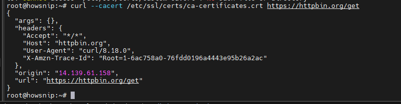Curl Command Howsnip