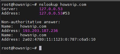 DNS Enumeration Commands Howsnip