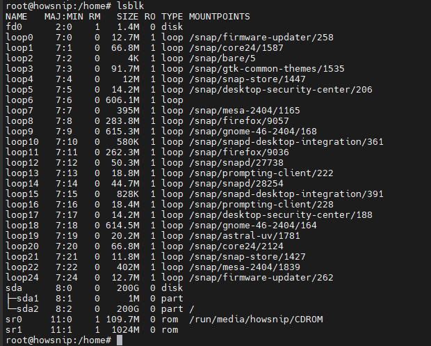 Df command Howsnip