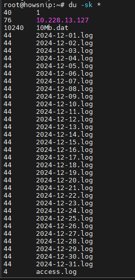 Df command Howsnip