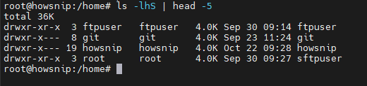 Df command Howsnip