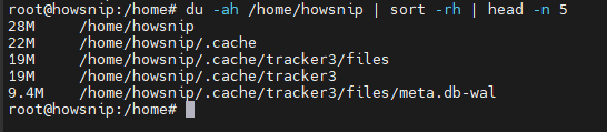 Df command Howsnip