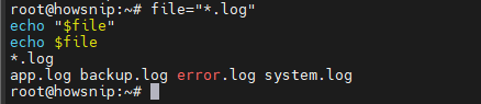 Echo Command Howsnip