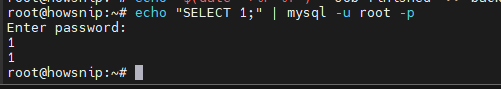 Echo Command Howsnip
