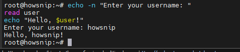 Echo Command Howsnip