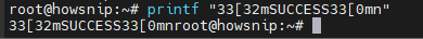 Echo Command Howsnip