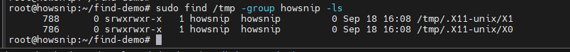 Find Command Howsnip