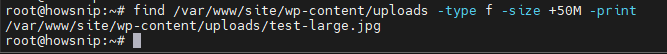Find Command