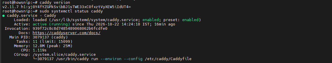 Install Caddy Howsnip