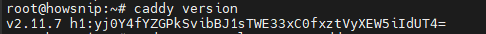 Install Caddy Howsnip