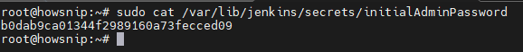 Install Jenkins Howsnip