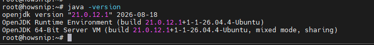 Install Jenkins Howsnip
