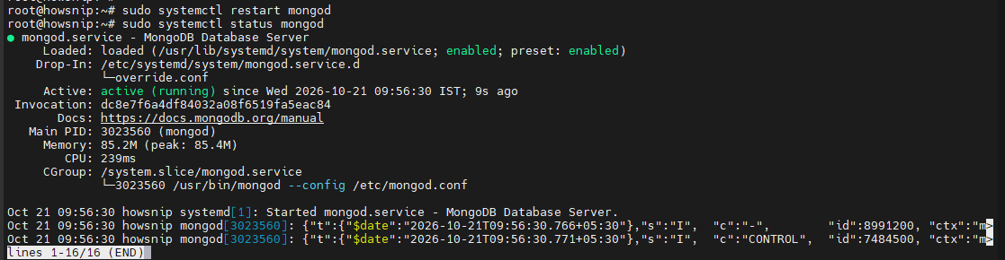 Install MongoDB Howsnip