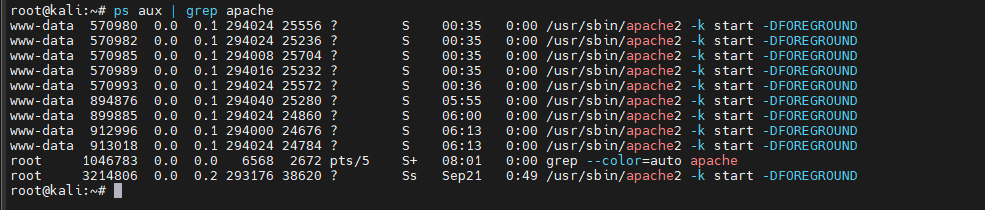 Kali Linux Commands Howsnip
