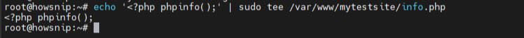 LEMP Install Howsnip