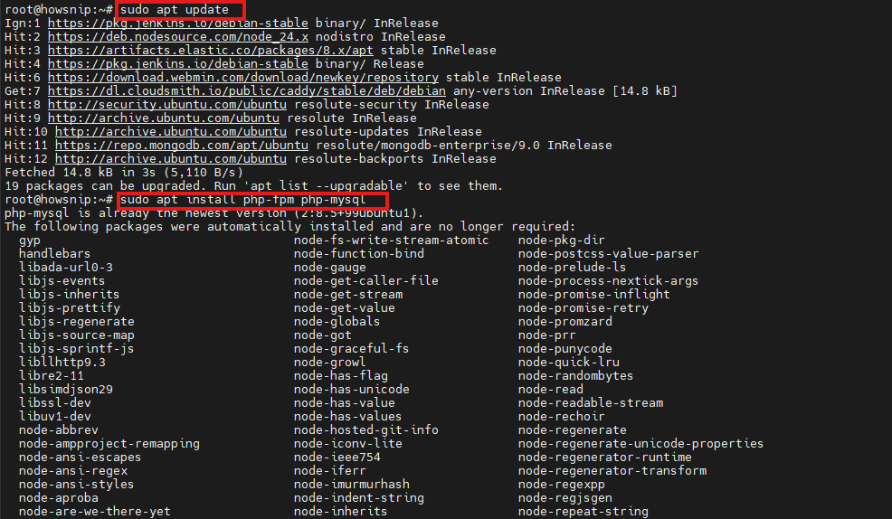 LEMP Install Howsnip