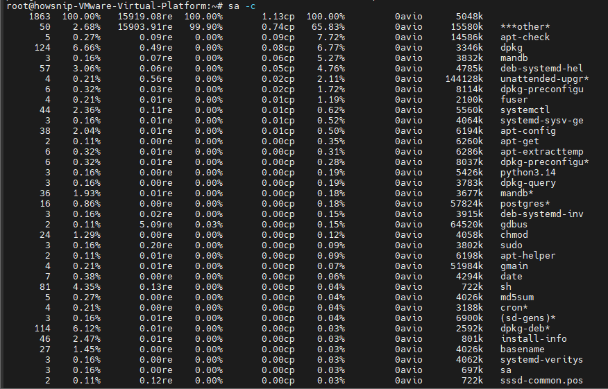 Linux User Activity Howsnip