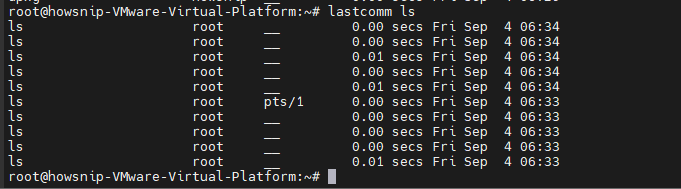 Linux User Activity Howsnip