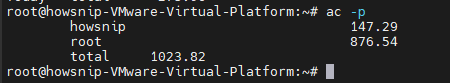 Linux User Activity Howsnip
