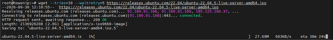 Linux wget commands howsnip