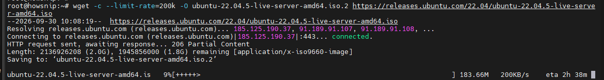 Linux wget commands howsnip
