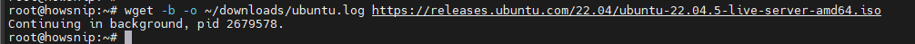 Linux wget commands howsnip