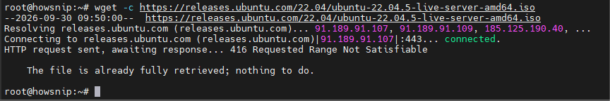 Linux wget commands howsnip