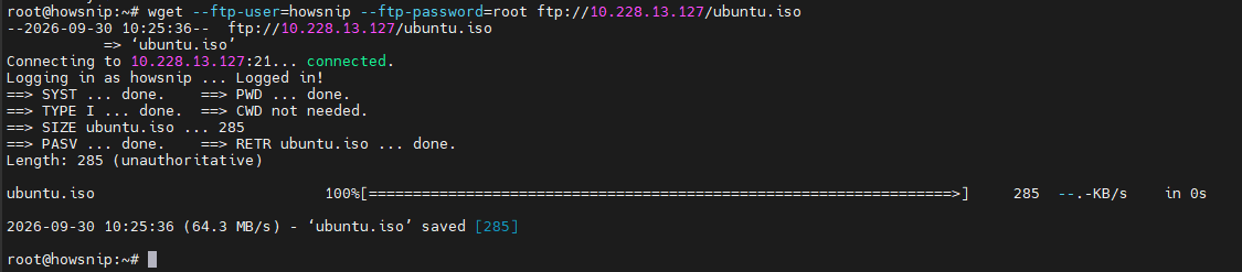 Linux wget commands howsnip
