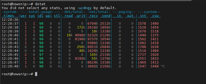 Measuring Disk Activity Howsnip