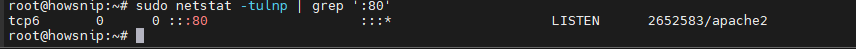 Netstat Command Howsnip