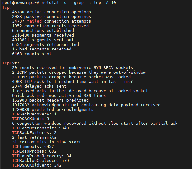 Netstat Command Howsnip