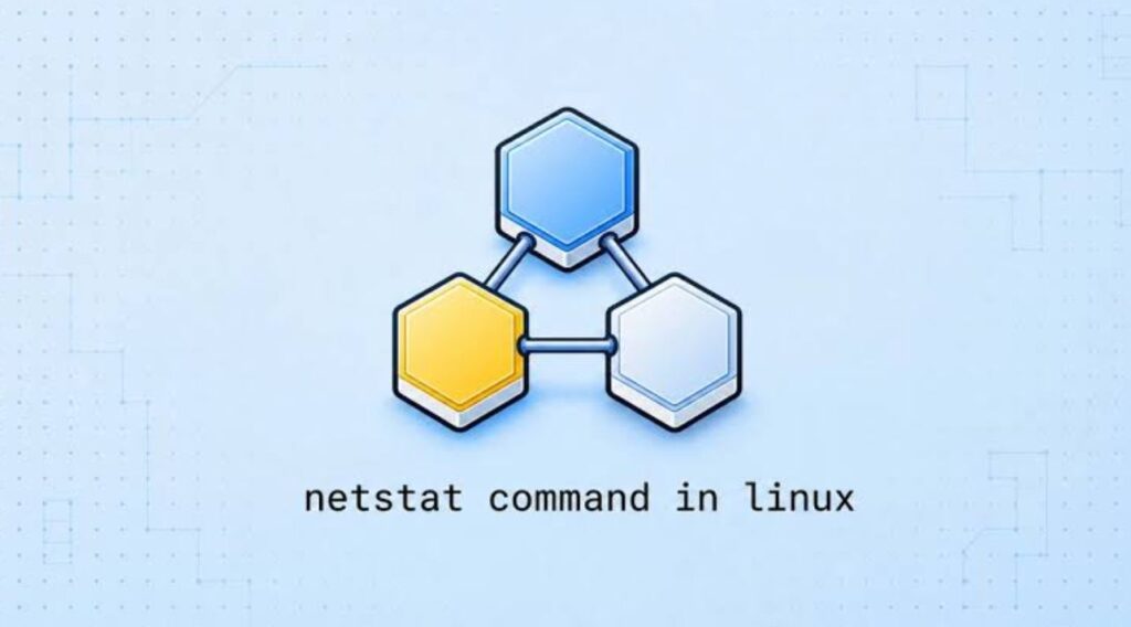 Netstat Command Howsnip