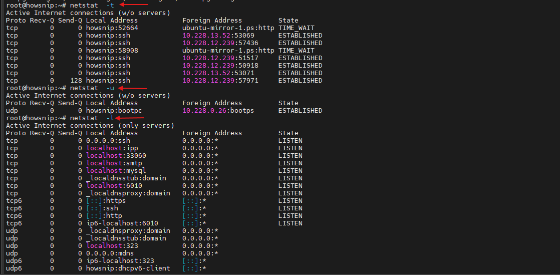 Netstat Command Howsnip