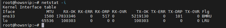 Netstat Command Howsnip