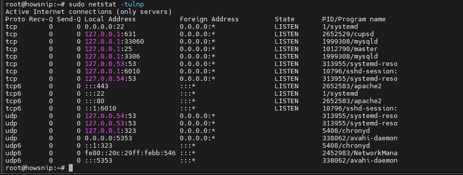 Netstat Command Howsnip