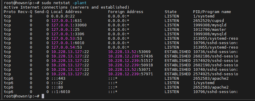 Netstat Command Howsnip