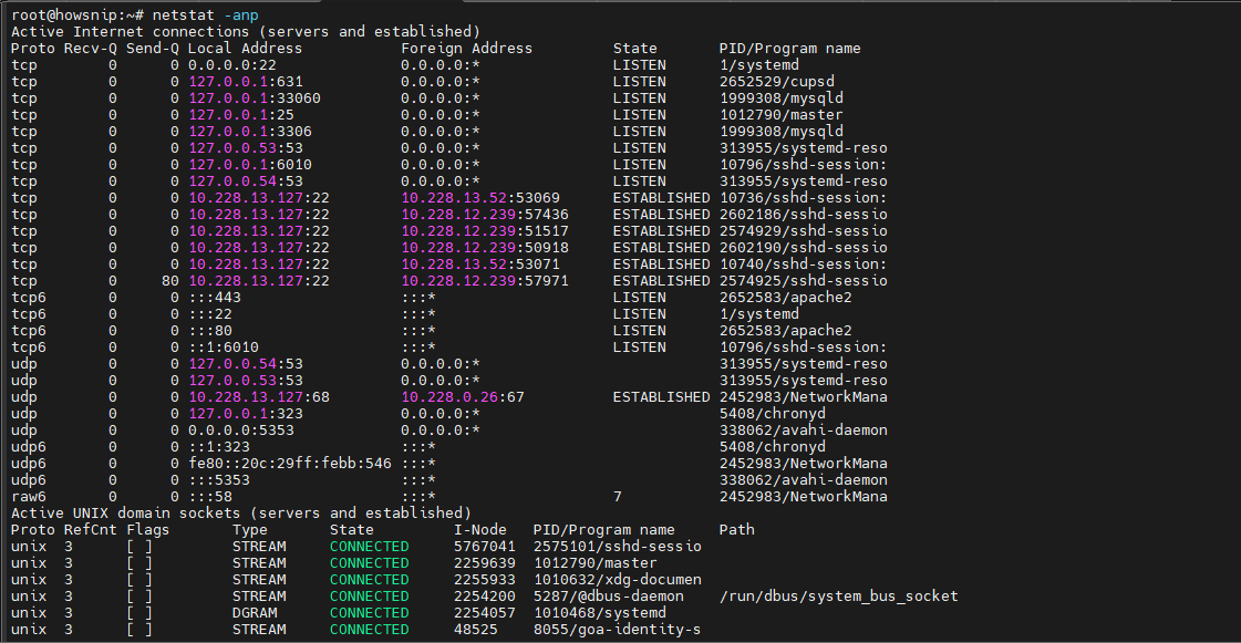 Netstat Command Howsnip
