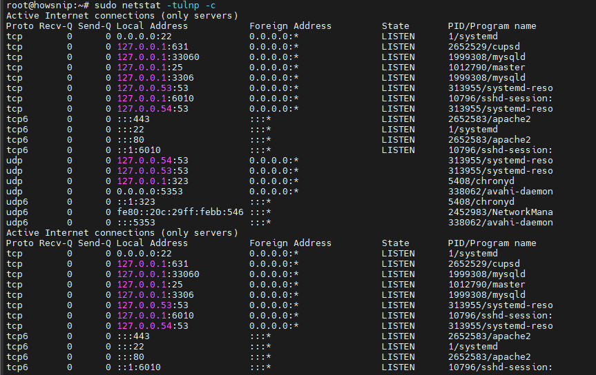 Netstat Command Howsnip