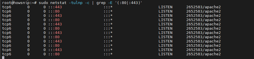 Netstat Command Howsnip