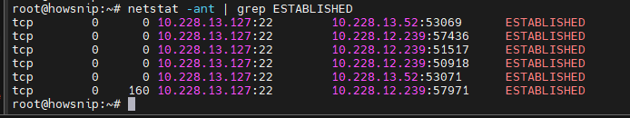 Netstat Command Howsnip