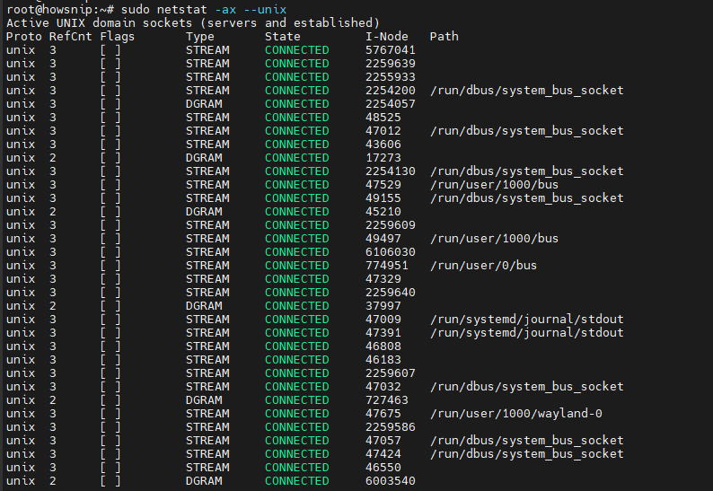 Netstat Command Howsnip