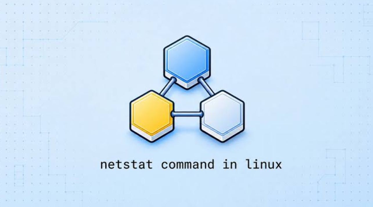 Netstat Command Howsnip