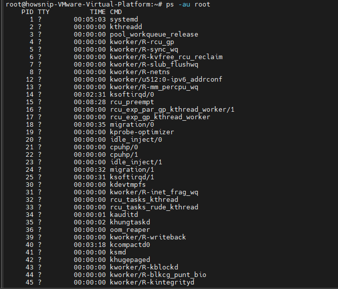 PS Commands Howsnip