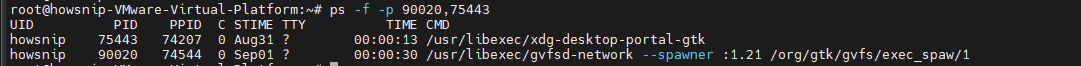PS Commands Howsnip